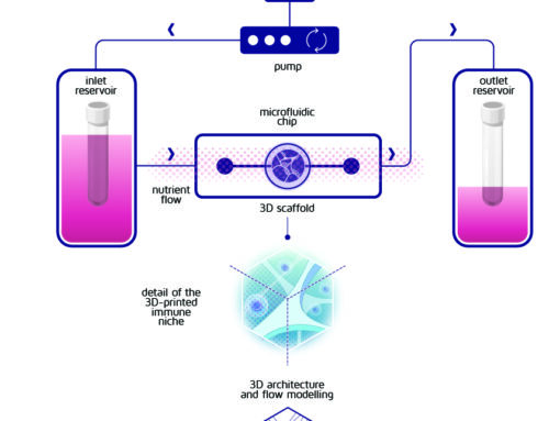 A visual summary of the INCITE project