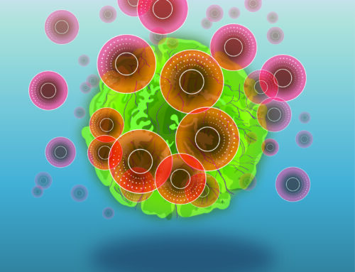 Modeling the Efficacy of T Cells